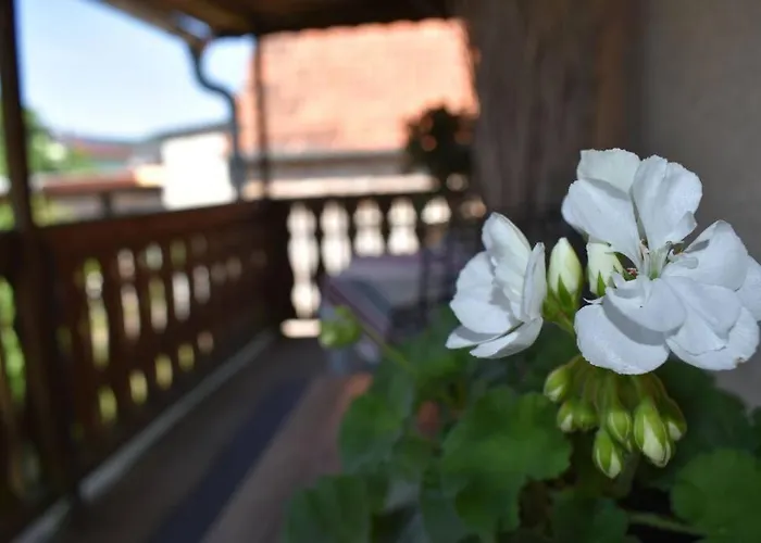 Haus Erna Hébergement de vacances Altmannsdorf