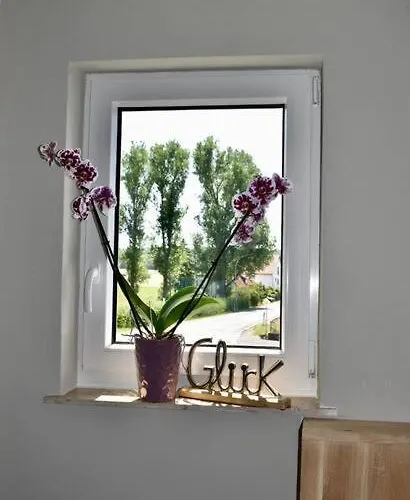 بيت للعطل Haus Erna *